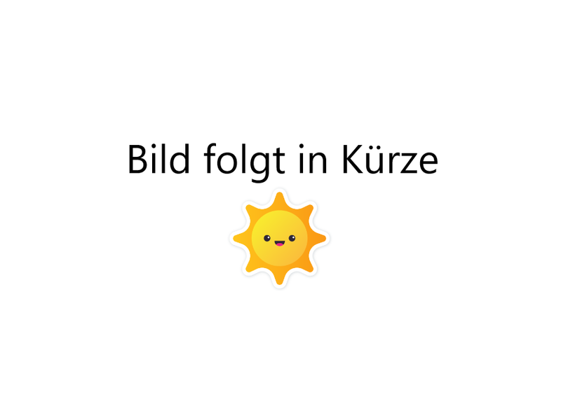 Du möchtest unser neuer Lehrling werden? Schick uns Deine Bewerbung