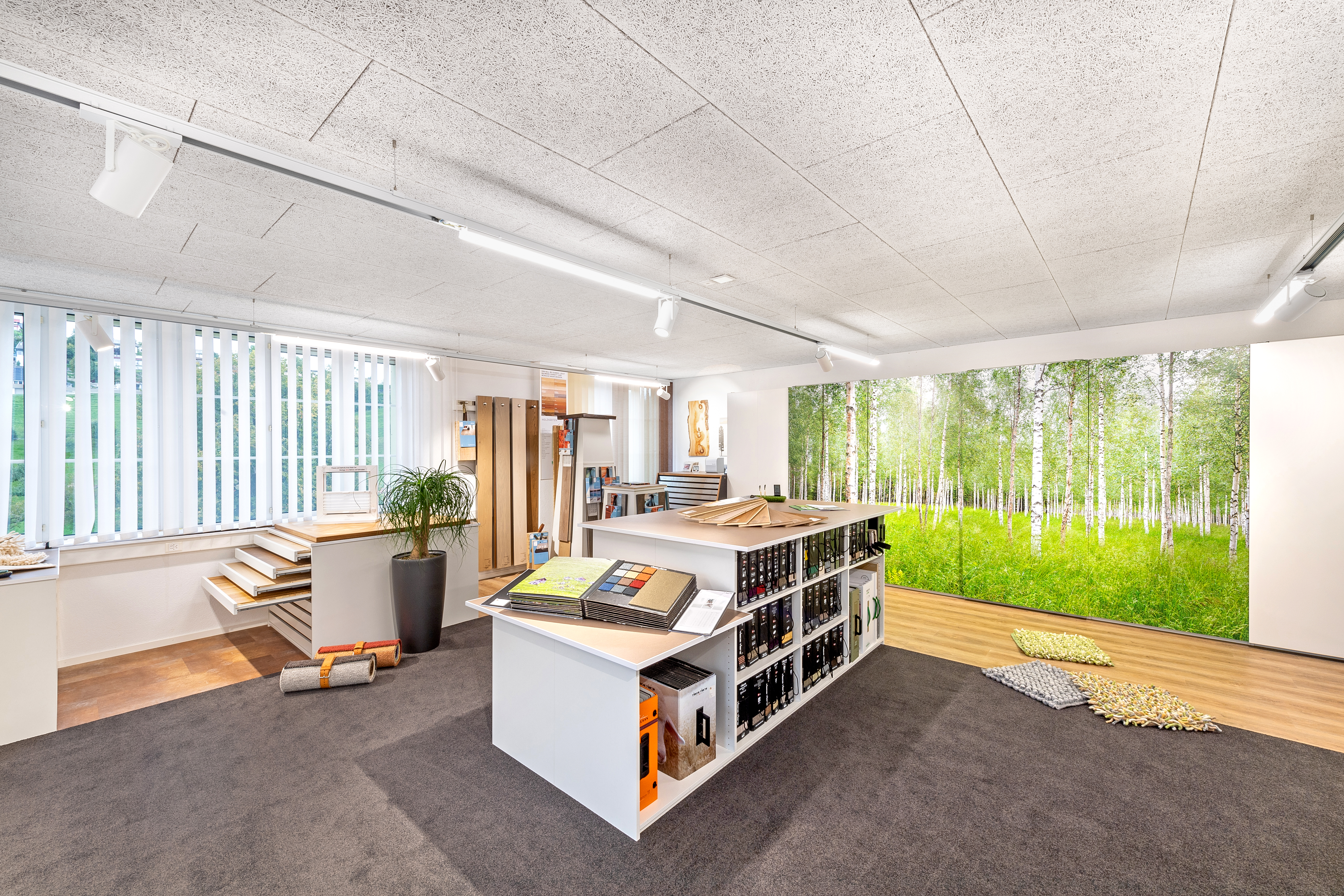 Showroom Bleiker AG